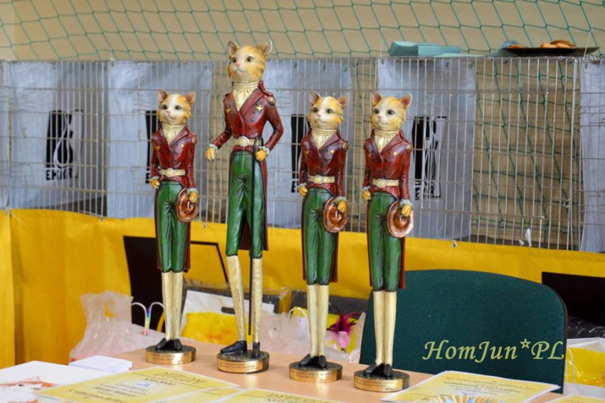 NFO2000